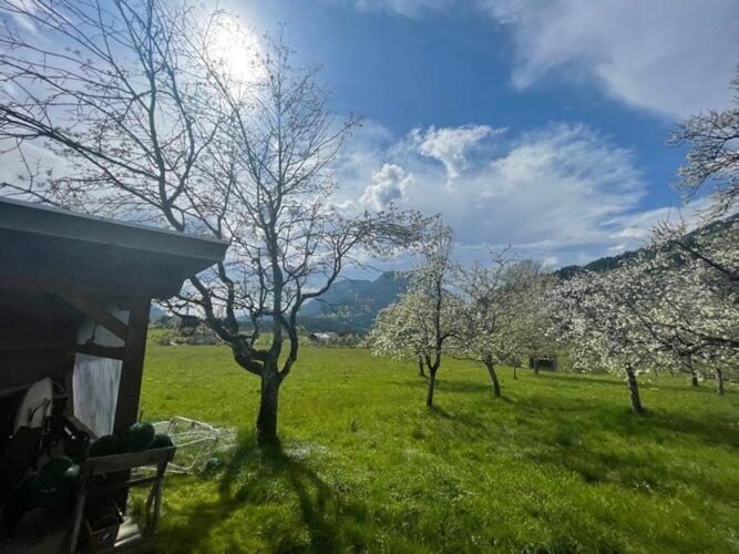Holiday Home, Soell エクステリア 写真